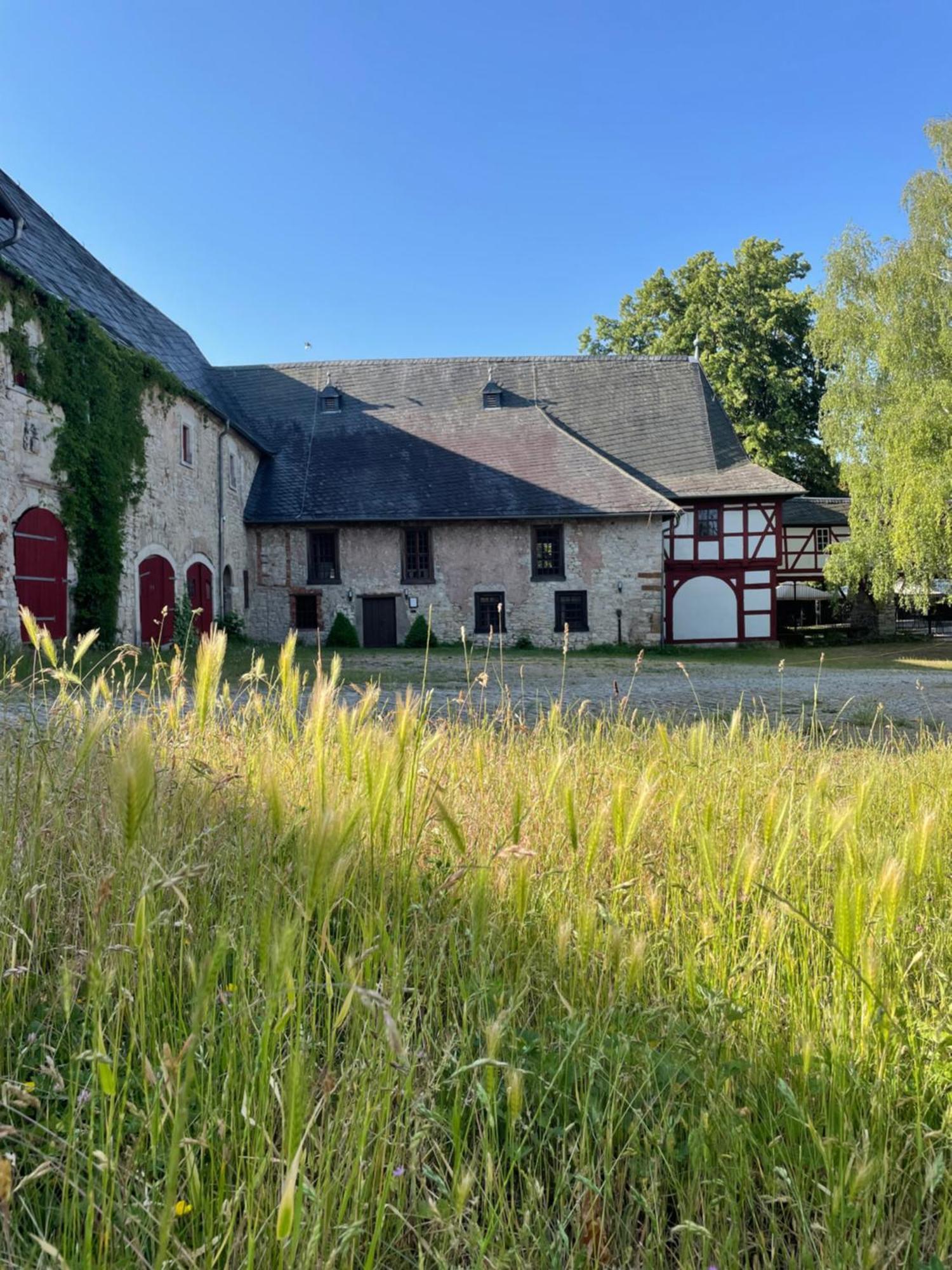 Schloss Beichlingen Exterior photo